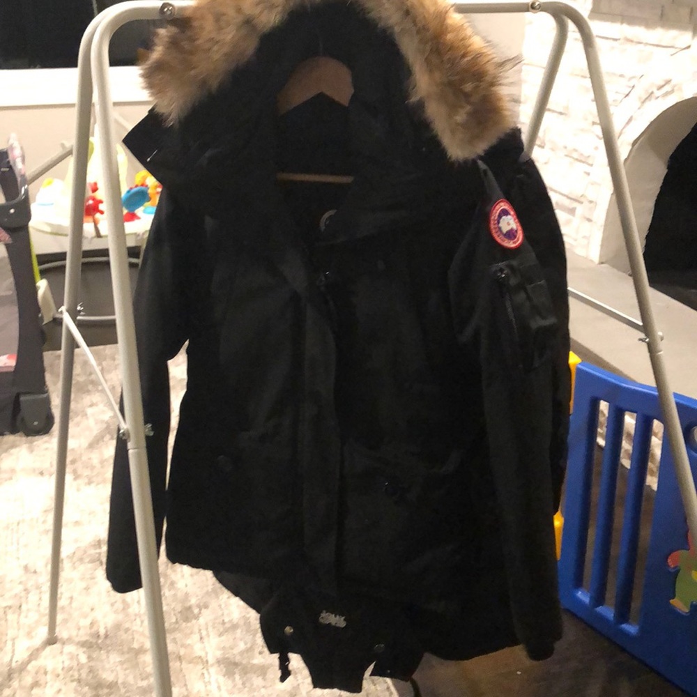 Canadian goose  perfect condition